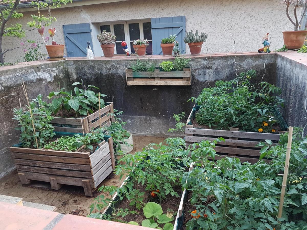 Villa Des 2 Geais Les Playes Εξωτερικό φωτογραφία
